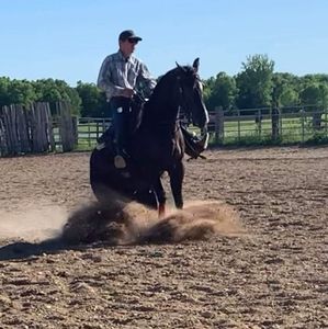 Meet your Posher, Jonathan